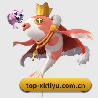 星空体育 APP